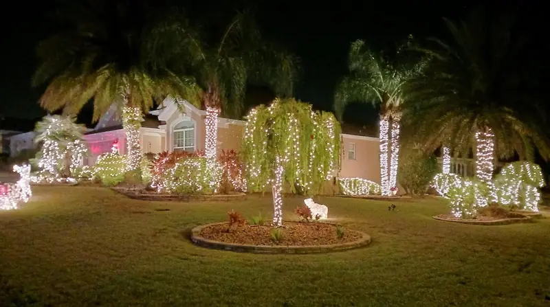 Tampa handyman Christmas light installation