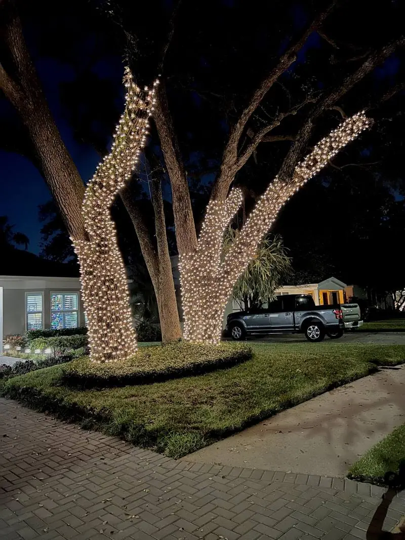 Holiday Lighting Installation - Electrical project by Tampa Handyman