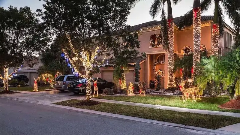 Christmas light installation on palm tree in Tampa Florida